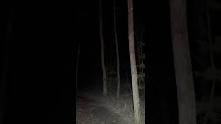 Hiking alone at night in the Appalachian mountains #solohiking #nightwalking