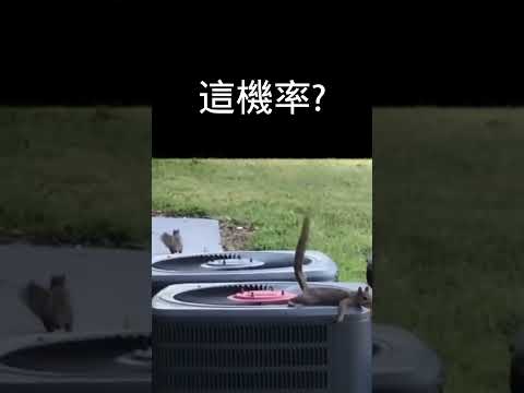 這中獎機率是?