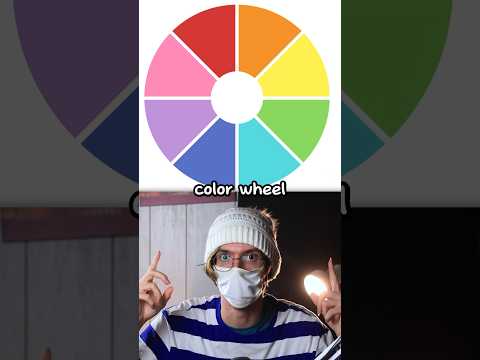 Color Wheel Challenge with Animals!