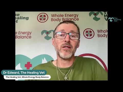 Help Your Pets With The Healing Vet: Patience and Kindness