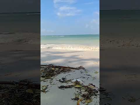 white sand beach 🏖️#whitesand #beach #nature