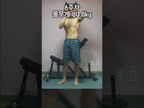 흔한 한의사의 바디프로필 몸 변화과정