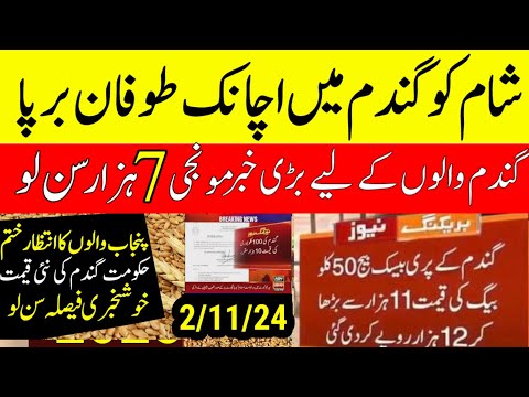 Today Wheat price in punjab//گندم کا ریٹ 2024/munji makki till sarso/Galla mandi rate today