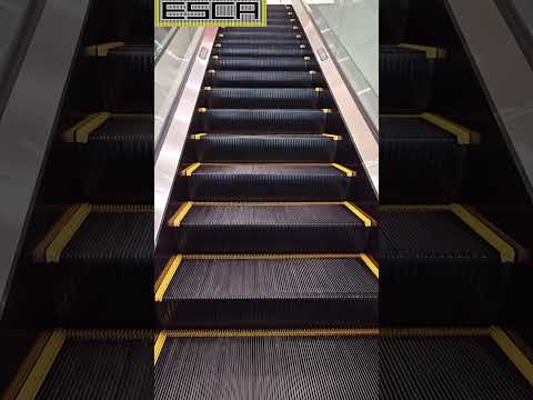 [New!] Cross Mukogaoka Escalator 1F-2F #escalator #shorts