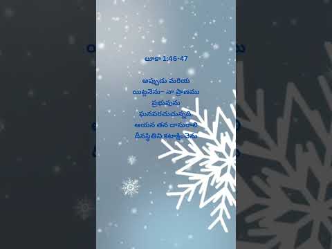 TODAY'S BIBLE VERSE 20-12-2024 #ytshorts #bibileversetoday #shortsvideo #shorts #dailyshorts #yt