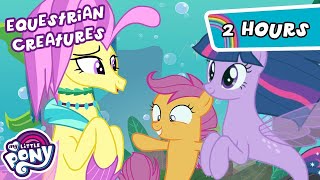 Discover the Creatures of Equestria🐉🦓🧜‍♀️ | 2 HOUR | My Little Pony: Friendship is Magic