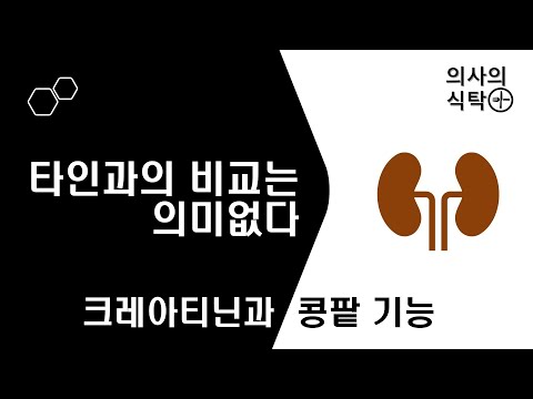 콩팥 기능 비교하지 마세요 : 크레아티닌과 콩팥기능