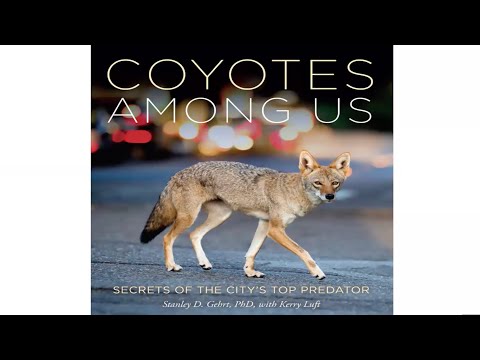 Presentation: Coyotes Among Us with Dr. Stanley D. Gehrt