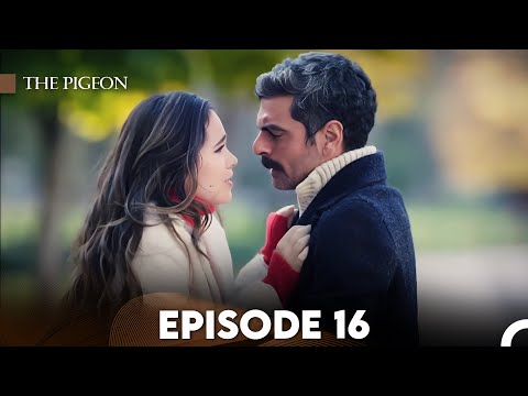 The Pigeon Episode 16 (FULL HD)