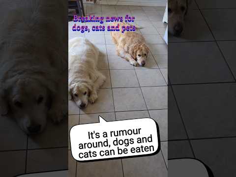 Breaking News from Trump for dogs, cats and pets #shorts #dogs #catts #pets