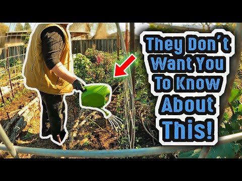 They Don't Want You To Know About This AMAZING Gardening Hack For Watering & Fertilizing Your Garden