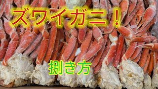 [魚の捌き方]ズワイガニ捌き方