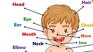 Names of Human Body Parts #growin'up #humanbodypartsname