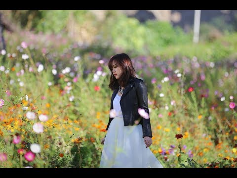 陳明憙 Jocelyn 《October Snow》MV 電影「陪安東尼度過漫長歲月」插曲