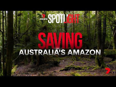 Trailer: Saving Australia's Amazon - the new war about to ignite | 7NEWS Spotlight