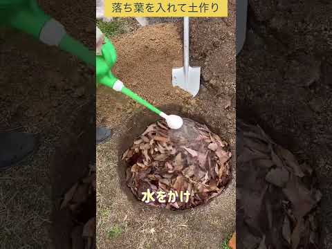 冬恒例　畑に落ち葉を入れて土作り