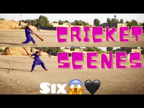 Cricket Scenes🏏|3rd Vlog|Kashan Dal Official