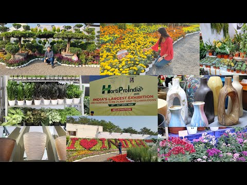 HortiProIndia 2024 | India's Biggest International Exhibition on Nurseries & Landscape | VlogGoals