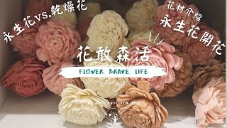 林口永生花、乾燥花推薦｜隱密巷弄中的花店「花敢森活」