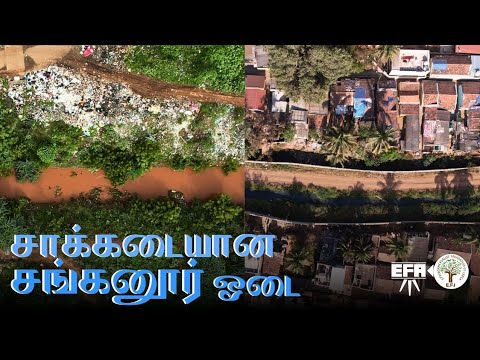 Sanganur Odai | Thadagam - Noyyal River | Coimbatore | EFIxEFA