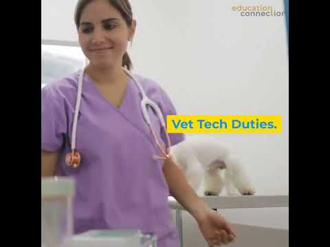 Vet Tech vs. Vet Assistant