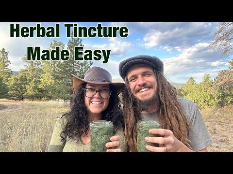 Foraging Usnea & Making Herbal Tincture | Easy Folk Method | Mountain Homestead