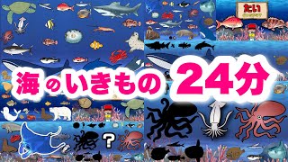 【子供が喜ぶ水族館】海の生き物アニメ詰め合わせ24分！お魚さんたちが大集合！さかなの名前ずかん★クジラ・サメ・イルカ・タコ・ペンギン・ウミガメ★未就学児向け教育｜Fish気分はスキューバダイビング♪