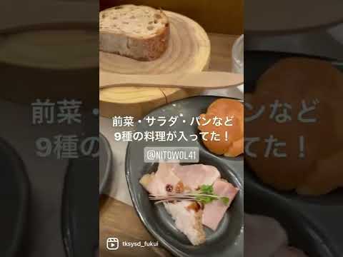 【福井グルメ】ニトヲエルさん（福井市） @nitowol41 で映えランチ食べてきました【食レポ動画】#shorts