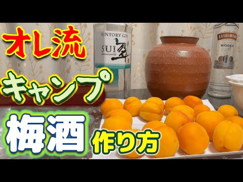 【キャンプ酒】簡単！手作り梅酒の作り方。一年熟成させる本格梅酒を仕込む（ソロキャンプ番外編）