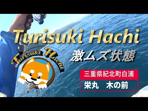 【かかり釣り】【筏チヌ】苦闘‼激ムズ深場25ｍで急流2枚潮とうねりを攻略！？頑張りました