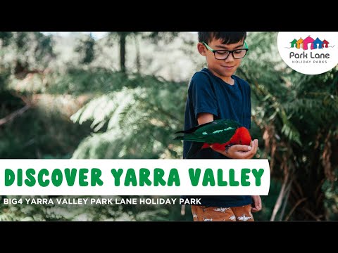 Discover BIG4 Yarra Valley Park Lane Holiday Park | Accommodation | Fun for Kids | Wineries & Food