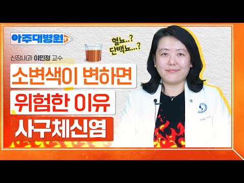 소변에 거품이 많이 생기는 분들은 집중!!😮 혈뇨, 거품뇨가 보내는 ‘사구체신염’의 위험 신호🚨 증상부터 치료법까지! 신장내과 이민정 교수 [아주대병원TV]