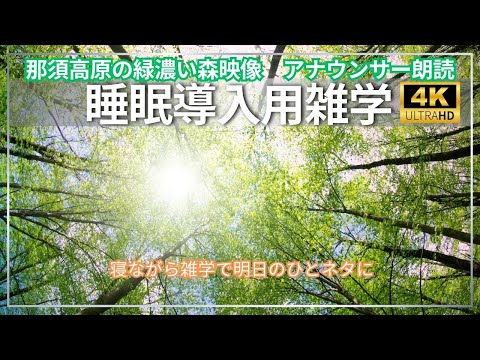 【睡眠導入用】【人気のお土産の雑学】【アナウンサー朗読】【那須高原】の４K映像