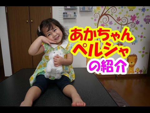 ペット玩具あかちゃんペルシャの紹介+赤い仮面マン