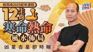 蘇民峰2025蛇年運程｜12生肖寒命熱命風水佈局 凶星吉星即時睇 stheadline.com/life