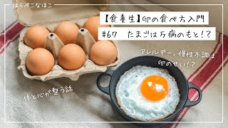 【食養生】たまごの食べ方入門！たまごは万病の元！？