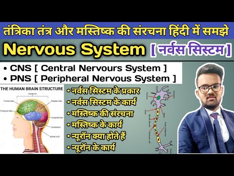 Nervous System in Hindi | CNS Central Nervous System | PNS Peripheral Nervous System | Brain |Neuron