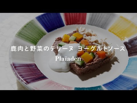 鹿肉と野菜のテリーヌ ヨーグルトソース｜無添加キャットフードアレンジレシピ｜プレイアーデン