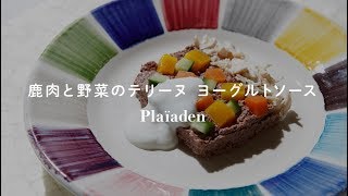 鹿肉と野菜のテリーヌ ヨーグルトソース｜無添加キャットフードアレンジレシピ｜プレイアーデン