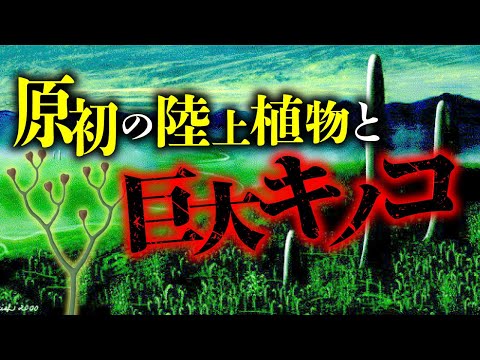 【ゆっくり解説】誰が最初に陸に上がった？：シルル紀の古植物と巨大キノコ【 古生物 / 進化 / 科学 / 生命の歴史⑩】