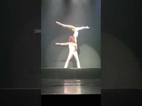 #shorts Royal Caribbean - Duo Quintessence - Aerialist & Acrobat Show