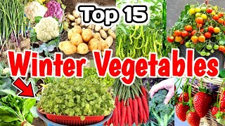 15 Vegetables to Grow | How to Grow Winter Vegetables at Home