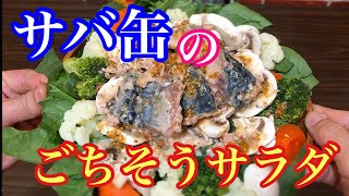 【サバ缶のごちそうサラダ】アレンジOK！アウトドアや急でも簡単に作れます！！