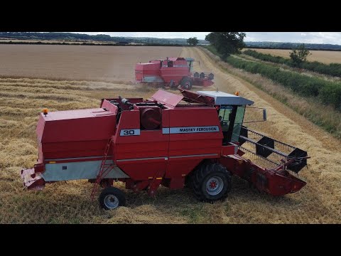 Barley harvest has started. Takeaway driver drives the combine !!!