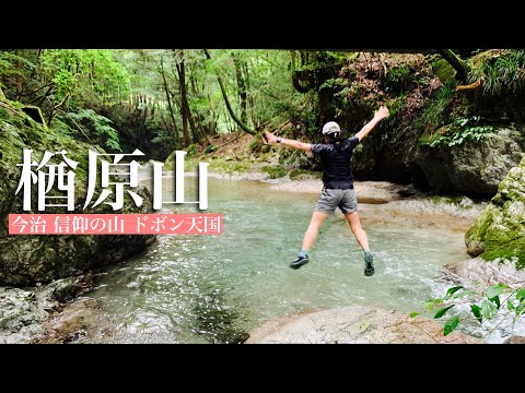 【登山】楢原山 眺望ゼロでもステンレス鳥居とドボン天国の素敵なお山を登ってきました。