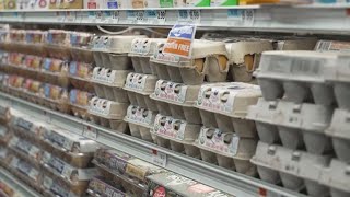 Egg prices climb ahead of Christmas