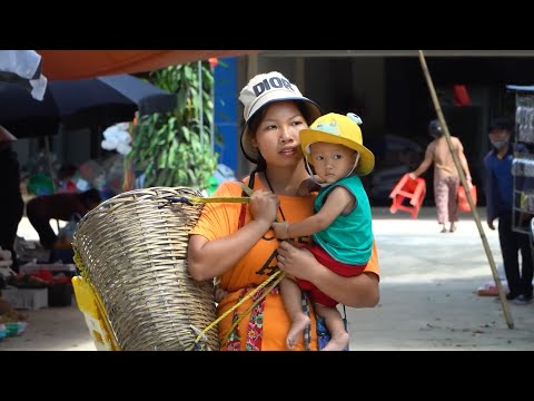 How to harvest cassava to sell at the market - How to make a bamboo storage cabinet.