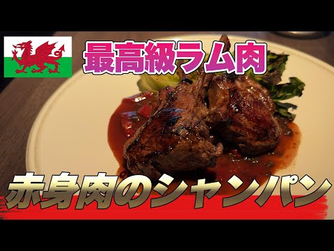 【ウェールズ旅行】 最高級ラム肉とウェールズ最古のワイナリー訪問🍷