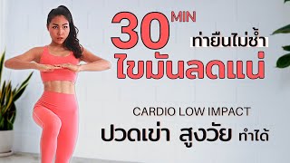 CARDIO LOW IMPACT WORKOUT  30 Min Burn Fat, FAST Weight Loss