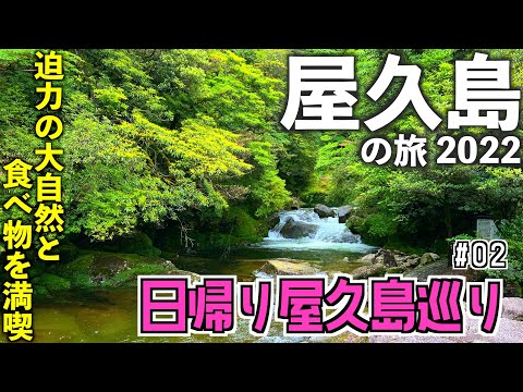 【屋久島旅行】日帰りで屋久島旅〜自然と食べ物を満喫する１日〜　[2022年6月 屋久島の旅②]